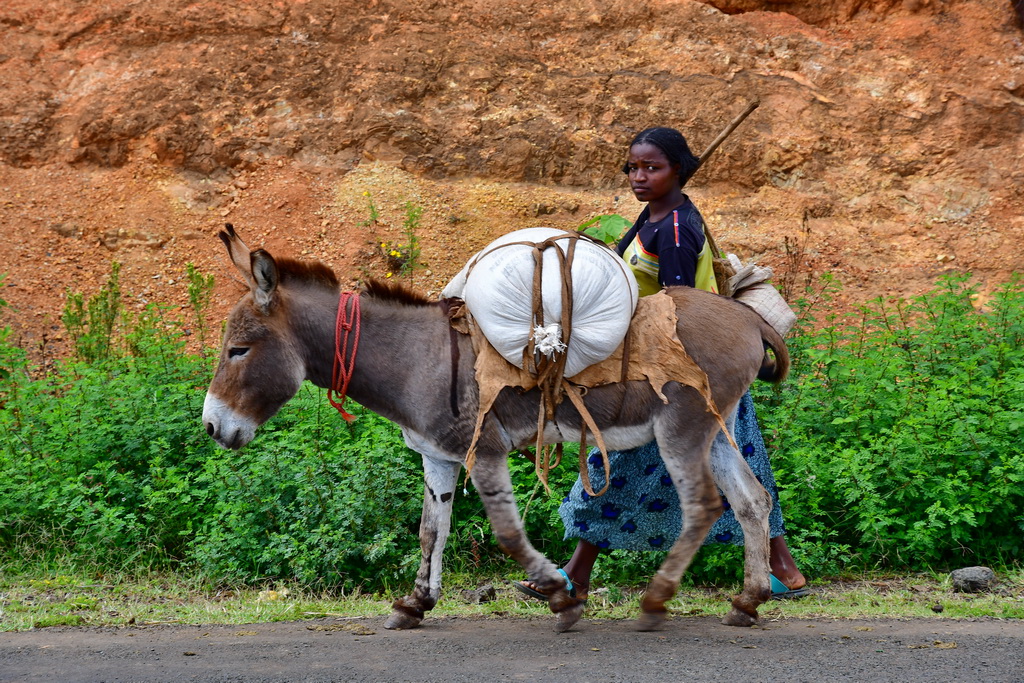 Konso, Arba Minch to Turmi